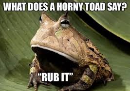 Funny Memes Don T Give A F Ck Photo Compilation Pics Captions Kcguy777