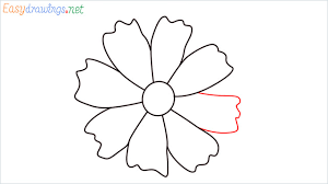 They are bright, fragrant and allow plants to thrive. How To Draw A Marigold Step By Step 9 Easy Phase