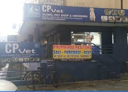 Acacia pet clinic in san jose can provide you with the professional vet care services. Cp Vet Hospital And Petshop Top Vets In Ghaziabad Epets Vets