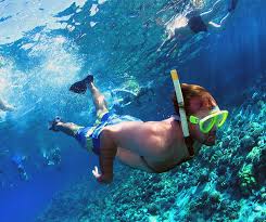 Molokini Crater Snorkeling Trips Info Maui Hawaii