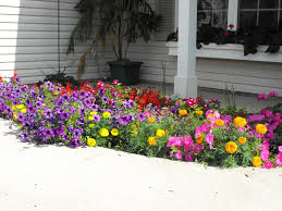Pin By Shelia Payne On Country Gardens Beautiful Flowers Garden Flower Garden Design Front Yard Garden