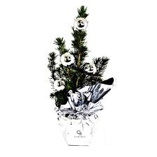 Follow santa as he makes his magical journey! Sapin De Noel En Pot De 10 Cm Avec Deco Goodies Noel Cadoetik