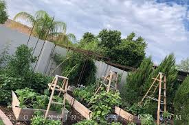 Maybe you would like to learn more about one of these? Best Way To Water Raised Bed Gardens Growing In The Garden