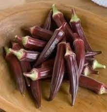 زراعة البامية ---------------- البامية من محاصيل العائلة الخبازية وتزرع من  أجل قرونها الخضراء التى تستخدم إما مطبوخة أو مجففة أو معلبة أو مجمدة وفى  بعض البلدان تستخدم قرون البامية كبديل للقهوة كذلك