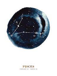 An original, imaginative, and hilarious debut novel about love, anxiety, and sea creatures, from the author of so sad today.lucy has been writing her dissertation about sappho for thirteen years when she and jamie break up. Zodiac Sign Pisces Fototapete Nach Mass Photowall