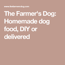 Diy Homemade Dog Food Recipes The Farmer S Dog Recipe Balanced Homemade Dog Food Recipe Dog Food Delivery Homemade Dog Food