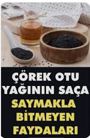 Corek Otu Yaginin Saca Cilde Beyne Faydalari Ve Zararlari Otlar Corek Otu Corek