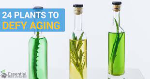 Contact your state poison center or extension office for a complete list of common toxic plants in your area. 24 Plants That Keep Your Skin Looking Young