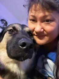 Hold your dogs tight during fireworks