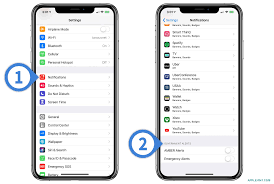 State and local authorities may also use the system to deliver important emergency information such as weather information, imminent threats, amber alerts and local incident. Instruction To Disable Emergency Alerts And Amber Alerts On Iphone Apple Devices Apple Hint
