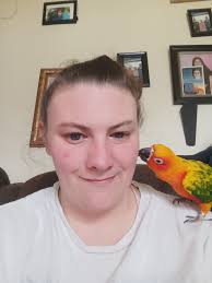 Lost pet bird Fruit Loop in Lake Station Indiana