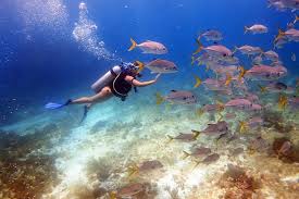 Children as young as 10 years old may pursue certification provided they are physically, emotionally, and intellectually capable of completing the same course as adults. Diving In The Mexican Caribbean For Beginners 2 Tanks 2 Dives All Inclusive 2021 Cancun