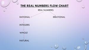 Warm Up Real Numbers The Real Numbers Flow Chart Real
