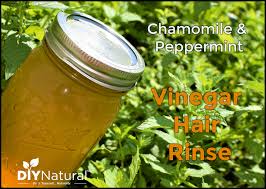 Another great shampoo and conditioner for hair growth are the dermachange hair growth shampoo and conditioner. Vinegar Hair Rinse A Peppermint And Chamomile Hair Rinse Recipe