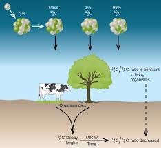 It is a pair of certain elements used in the ratios of determining the whose content. Radiometric Dating Nuclear Chemistry