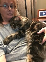 James Earnhardt's Instagram, Twitter & Facebook