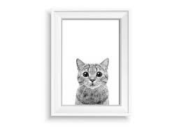 Black And White Cat Pictures To Print Black And White Cat Print Digital Wall Art Prints Black And Etsy Digital Wall Art Wall Art Prints Cat Print