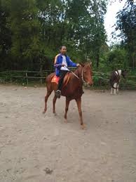 Pada hari minggu ku turut ayah ke kotanaik delman istimewa ku duduk di. Anda Bisa Naik Kuda Bersama Anak Picture Of Bale Kuda Stable Sleman District Tripadvisor