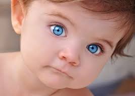 For example, talk about needing enough food, go to the pantry to see, make a list of what you i need activities that can develop cognitive abilities of children aged 5 to 6 years! What Is Child Development Kid Sense Child Development