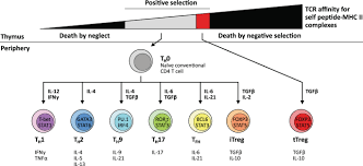 Typically, since cancer and pisces are both water signs they go well together. Revisiting The Role Of Cd4 T Cells In Cancer Immunotherapy New Insights Into Old Paradigms Cancer Gene Therapy