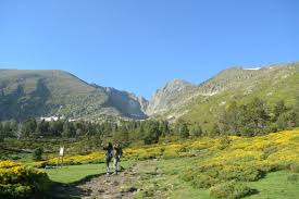 Crête de cournudère ou cornudère ou cap des teches ( téléchargez : Pyrenees Orientales 6 Secrets Depuis Le Camping Les Portes Du Canigou
