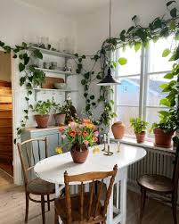 テーブル 植物
