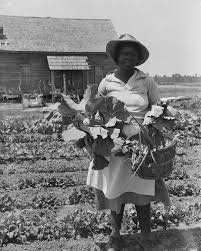 If you have a pig in your backyard, if you have some vegetables in your  garden, you can feed yourself and your family, and nobody can push you  around.”