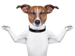 OTC Markets 101 l Going Public Attorneys