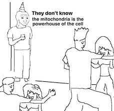 They Don T Know Party Meme Template