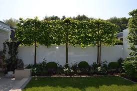 Sichtschutz Richtung Linda Garten Gartengestaltung Ideen Garten Landschaftsbau