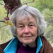 We still need your turkey sightings at iowadnr.gov/turkey! Make an official  record at the link above and note the number of male adults, female adults  and poults (babies) you saw, along with