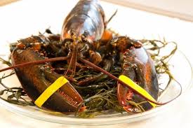 100% north atlantic sweet and tender lobster meat before placing your order, please inform your server if a person in your party has a gluten sensitivity. Summer Dinner Party Menu Throw A Lobster Bake