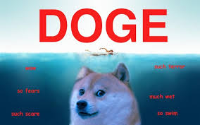 We did not find results for: My Current Doge Wallpaper Doge Iphone Wallpapers Background Dogecoin 1920x1080 Wallpaper Teahub Io