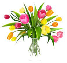 Romans 8 33 34 Who Shall Bring A Charge Against God S Elect It Is God Who Justifies Who Is He Who Condemns I Free Flower Clipart Flower Clipart Flower Art