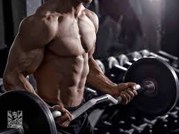 how to get bigger arms bicep and