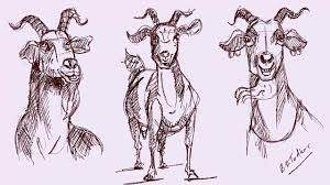 How To Draw A Goat Step By Step Goat Character Drawing Character Drawing Bugs Drawing Drawings