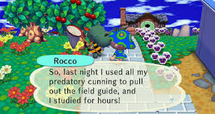 Wild world is a rpg/simulation video game published by nintendo released on december 5th, 2005 for the nintendo ds. Animal Crossing Wild World Game Giant Bomb