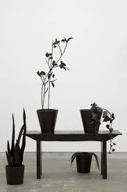 Sarah Wood Sarah Wood Black Flowers Plants