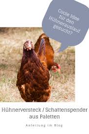 Huhner Im Garten Huhnergehege Huhnerauslauf Gestalten Paletten Diy Ein Versteck Bauen Lillelutt Huhnergehege Huhner Im Garten Huhnerauslauf