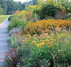 Perennial Border At White Flower Farm In Litchfield Cn White Flower Farm Water Wise Landscaping Beautiful Flowers Garden