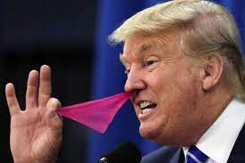 A Massive Dump Of Donald Trump Pulling Colored Flags From His Nose Album On Imgur