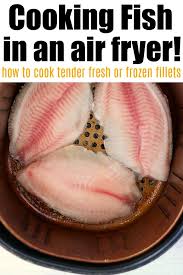 Fry red snapper until golden brown and cooked through. How To Cook Frozen Fish In Air Fryer Ninja Foodi Fish Recipe