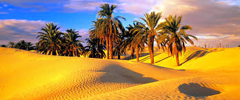 Ένας προορισμός για όλες τις εποχές. Tynhsia Red Elephant Exotic Travel Specialists