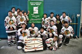 The team made it to the quarter finals, but fell to the mission az team, who took 2nd overall. Trophy Case