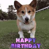 Maybe you would like to learn more about one of these? Coroi Gifs Get The Best Gif On Giphy