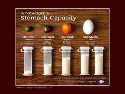 size and capacity of a newborns tummy compared to local