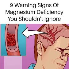 Foods high in magnesium to prevent deficiency