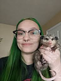 This may be a long shot, but is there a wildlife rehab place nearby?