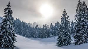 Vremea în comuna sadu, jud. Vremea Pe 10 Zile Sibiu Jocuri Alba Neagra