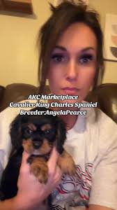 Cavalier King Charles Spaniel for Free Glendale Arizona
